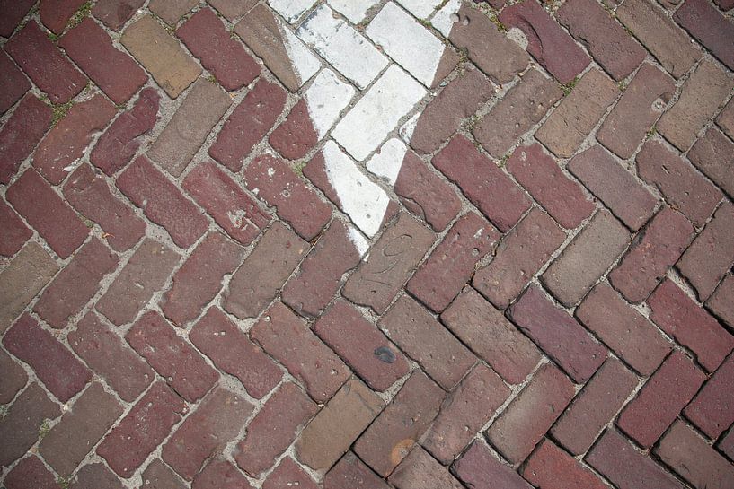 Shark tooth by Sander Mulder