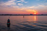 View over the Warnow to the fishing port in Rostock in the sun by Rico Ködder thumbnail