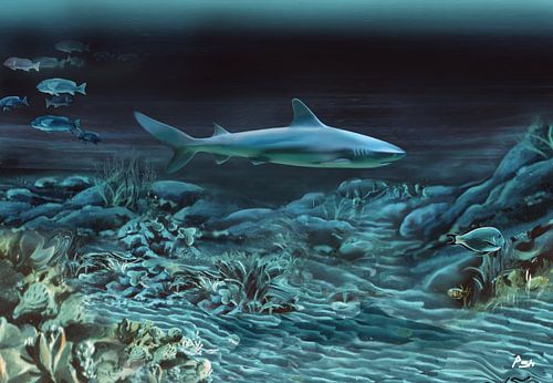 50 Blautöne von Antoine Shafouns