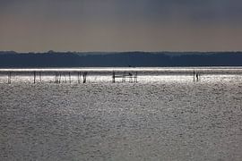 Usedom, Achterwasser