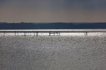 Usedom, Achterwasser van Thomas Jäger