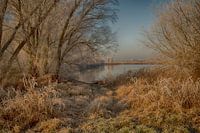 winterlandschap