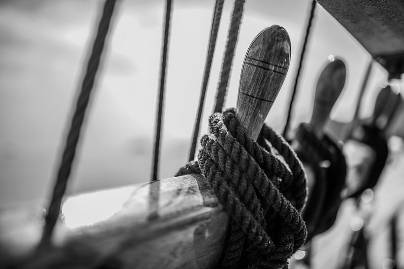 ropes ready to be released by Robin Smit