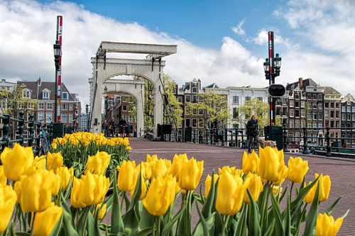 Magere brug Amsterdam von Peter Bartelings
