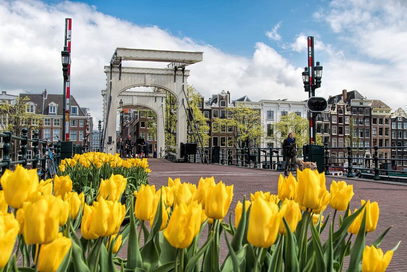 Magere brug Amsterdam von Peter Bartelings