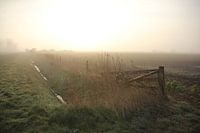 Texel Landschap 024