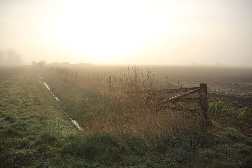 Texel Landschap 024 by Starworks:  LinaLena van der Star