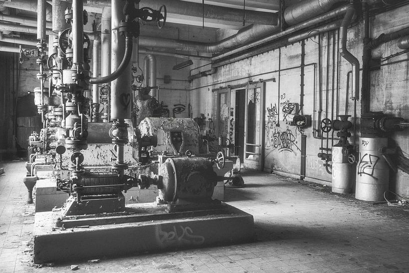 Rost und Rohre – Technikrelikt im Wald von Marcel Hechler