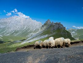 Landscape of the Picos de Europa by Willemijn Wolthaus
