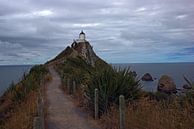 Phare de Nugget Point, Nouvelle-Zélande par Jeroen van Deel Aperçu