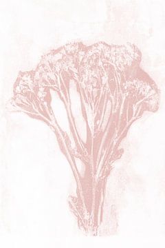 Roze bloem in retrostijl. Moderne botanische kunst in pastel roze en wit. van Dina Dankers