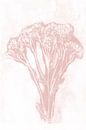 Rosa Blume im Retro-Stil. Moderne botanische Kunst in Pastellrosa und Weiß. von Dina Dankers Miniaturansicht