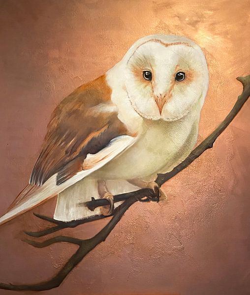 Pearl of Wisdom by Jacqueline de Vries  'JAC Studio & Gallery'