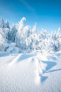 Paysage hivernal avec arbres enneigés sur Leo Schindzielorz