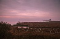 Schlafende Enten in einem Moor auf dem Dwingelderveld kurz vor Sonnenaufgang. von Anneke Hooijer Miniaturansicht