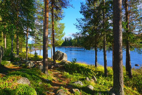 Fluss Vindelälven in Schwedisch Lappland