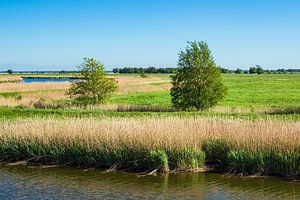 Landschaft am Prerowstrom auf dem Fischland-Darß