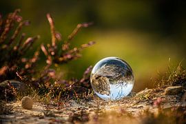 The glass ball by Steffen Henze