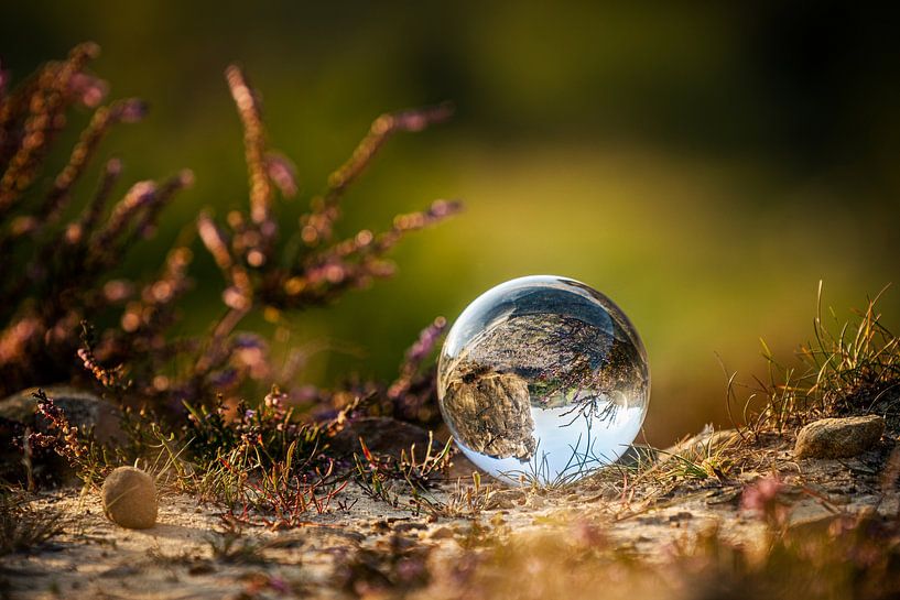 La sphère de verre par Steffen Henze