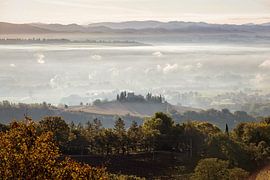 Valdipetrina by Rob Boon