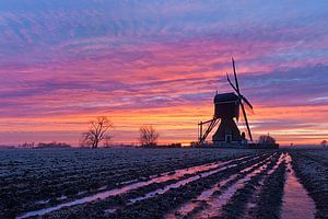 Magnifique lever de soleil au moulin sur Halma Fotografie