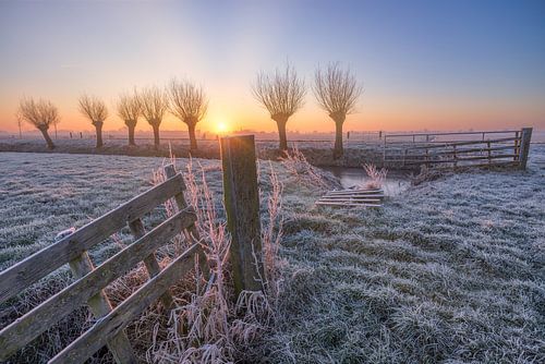 De zon komt op boven een typisch Hollands polderlandschap met een hekje in het weiland en wilgen langs de sloot