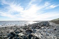 Het Wad