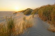 Terschelling, quelle île ! par Dirk van Egmond Aperçu