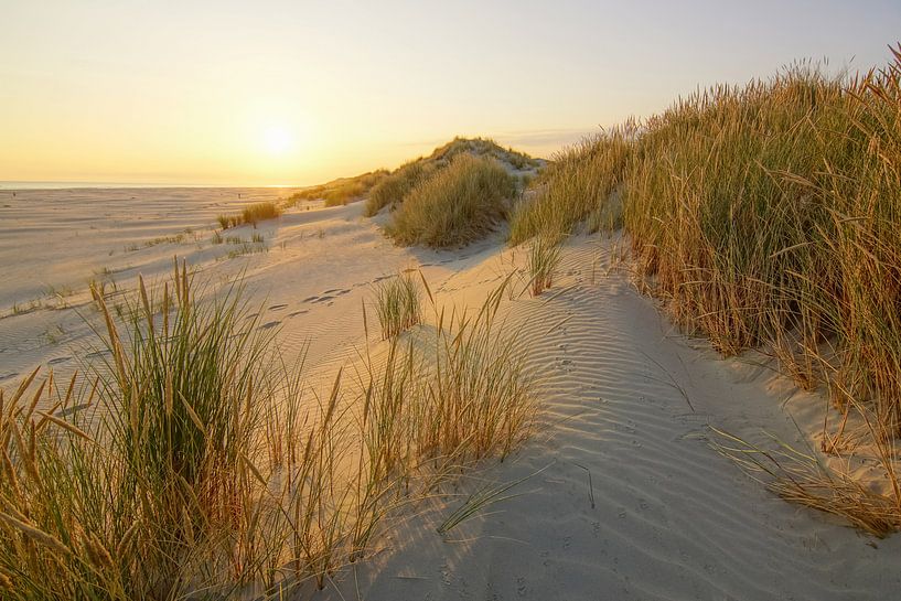 Terschelling, wat een eiland van Dirk van Egmond