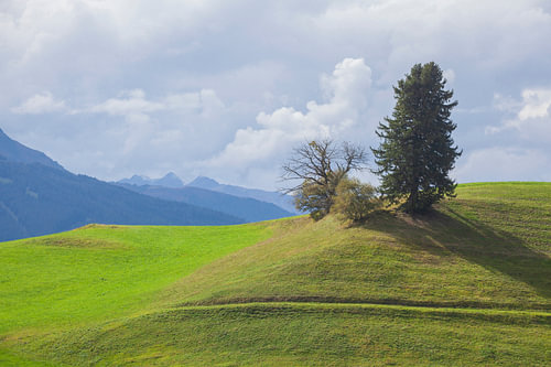 Mountains and alpine pastures near Sistrans, Tyrol, Austria