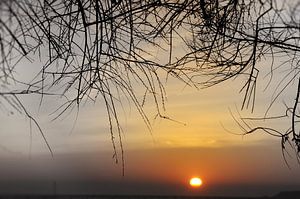 Coucher de soleil van Martine Affre Eisenlohr