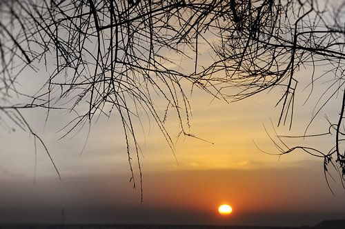 Coucher de soleil