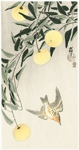 Cuckoo in the rain (1900 - 1910) by Ohara Koson