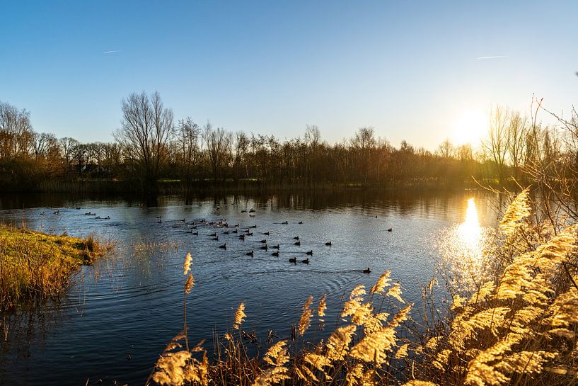 Un beau lever de soleil au bord de l'eau. par Roosmarijn Jongstra