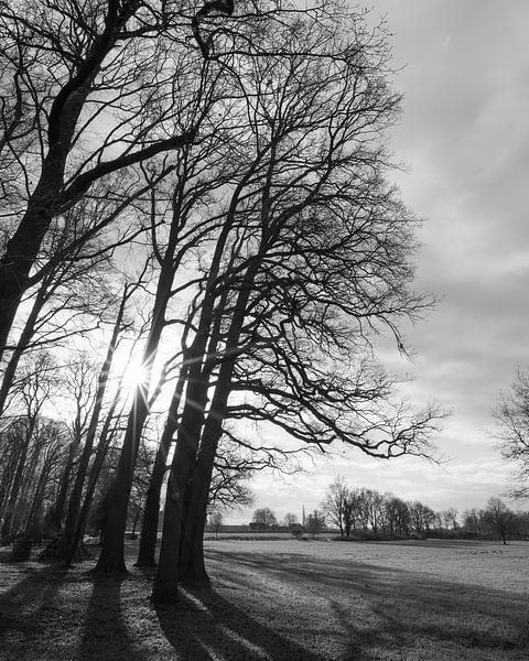 Winter Morning around Zutphen by Martijn Jebbink Photography