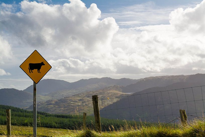 Old Kenmare Road von Capfield Photography
