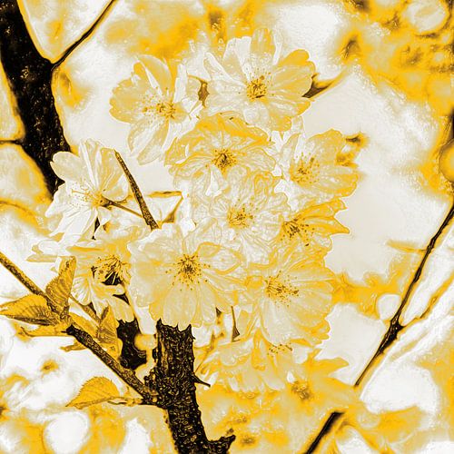 Digital Art Medium Bloemen Planten Bloesem Goud