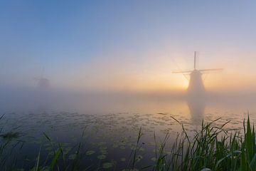 Kinderdijk op z'n mooist!