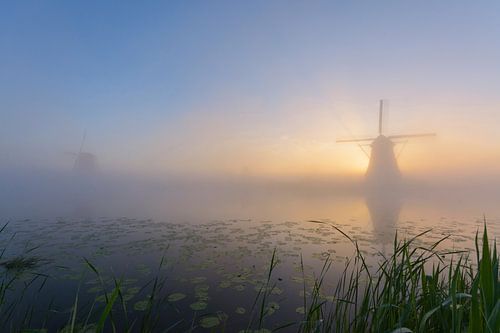 Kinderdijk op z'n mooist!