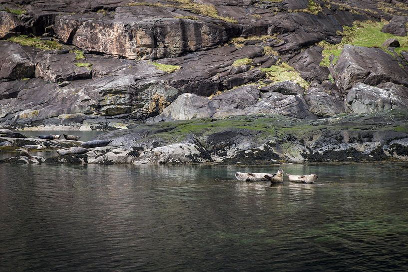 Siegel von Eriks Photoshop