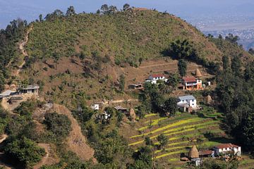 Himalayan Homestead by aidan moran