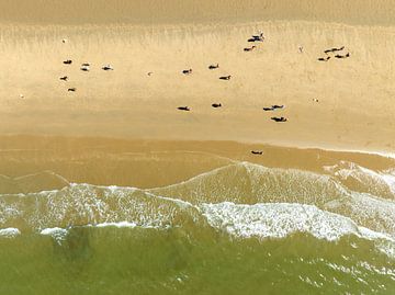 Golven die het strand raken aan de Noordzeekust in Noord-Holland