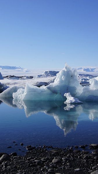 Eisbär in Jökulsárlón von Aagje de Jong