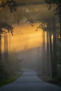 La plus belle route des Pays-Bas sur Corné Ouwehand