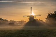 Duck in the shadow of the Westbroek Mill by Jeroen de Jongh thumbnail