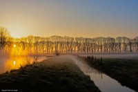 Mist in the Alblasserwaard