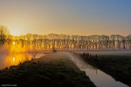 Nebel im Alblasserwaard von Eibert den Hengst