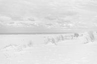 strand in zwart-wit van DsDuppenPhotography thumbnail