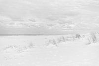 Strand in schwarz und weiß