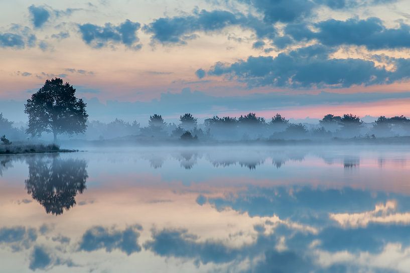 trees rfelecting in water, Aekingerzand by Karin Broekhuijsen